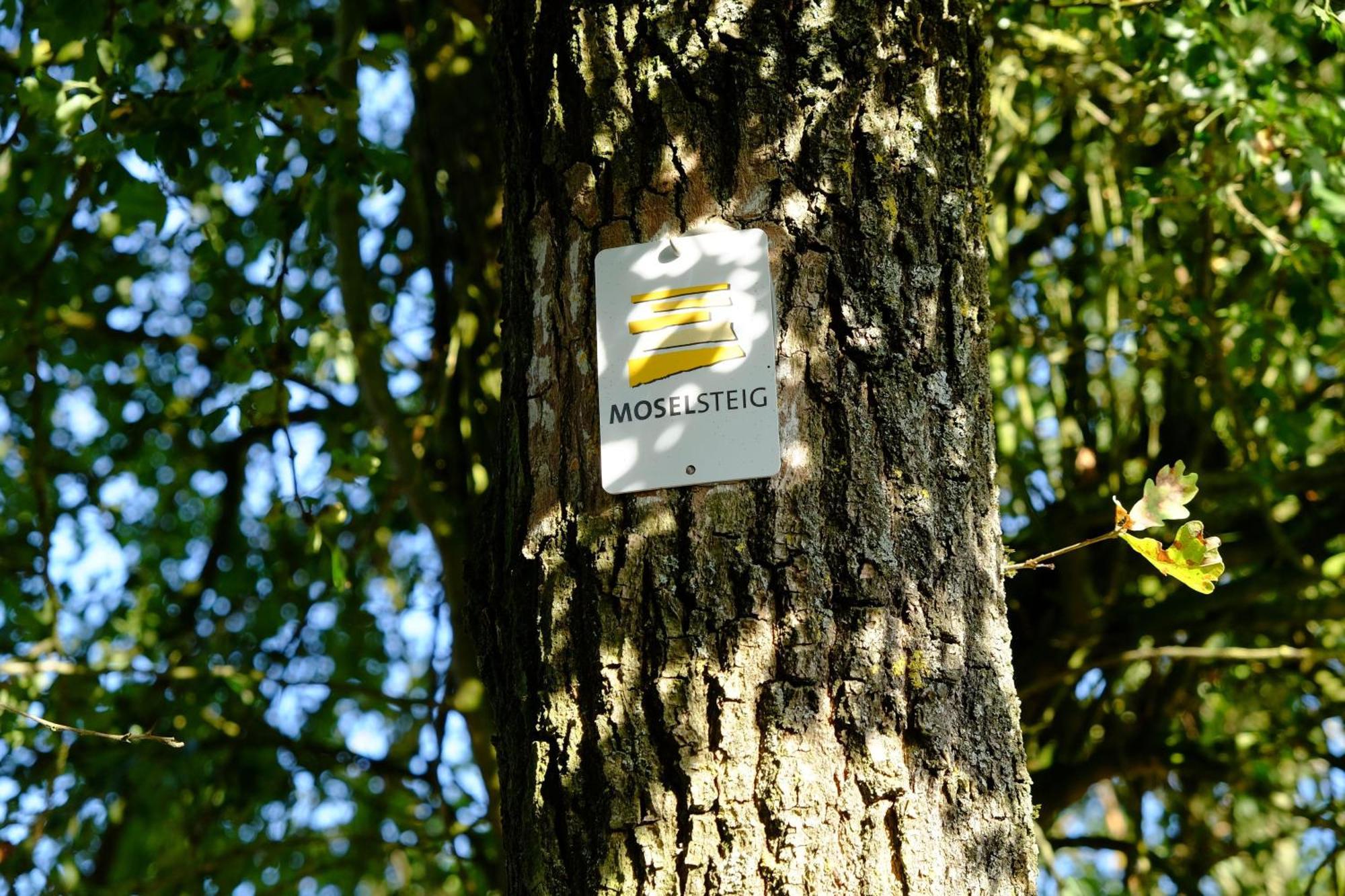 Ferienwohnung-zum-kueppchen *