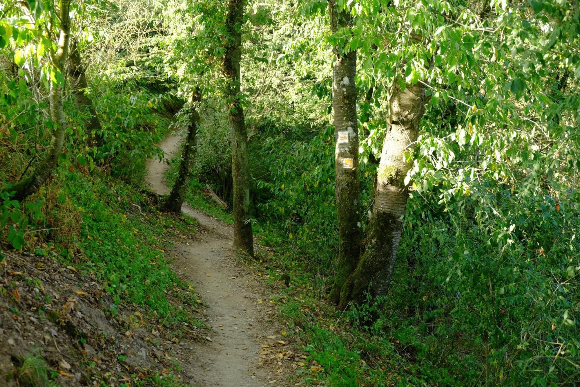 Zum Küppchen * Münstermaifeld